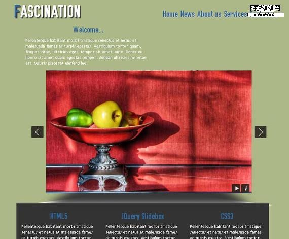 Fascination HTML5 and CSS3 Template