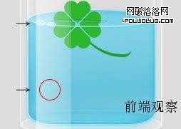 四葉草、水母與玻璃瓶