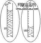 四葉草、水母與玻璃瓶