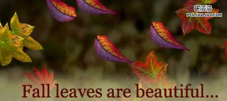 Leaves