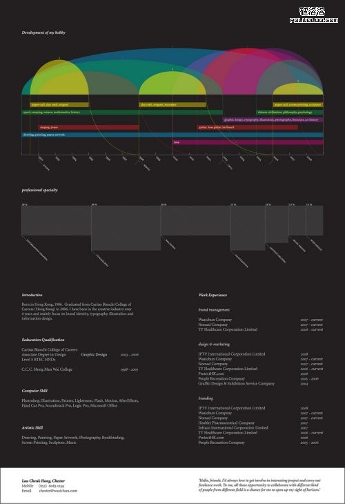 Curriculum_Vitae_by_bulooji10