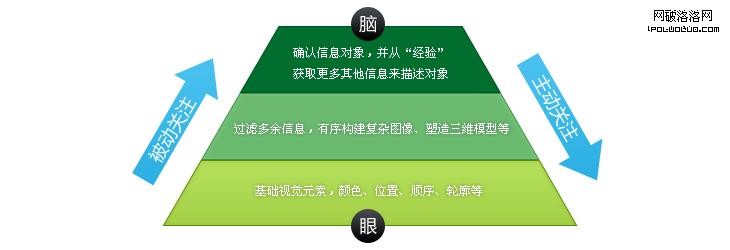 視覺注意力—解剖設計的根源