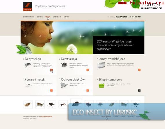 eco-insect-creative-web-design-layout-inspiration