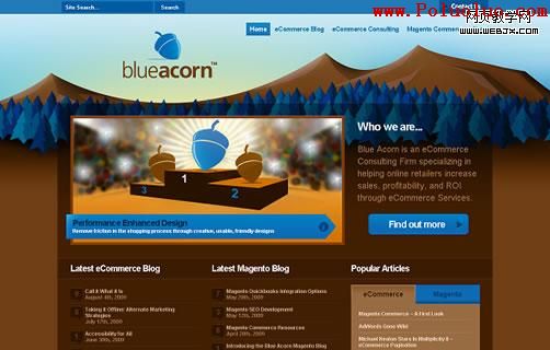www_blueacorn_com
