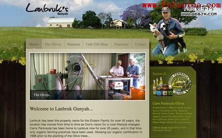 Landbruck 11 grass based website designs