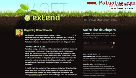 Viget Extend