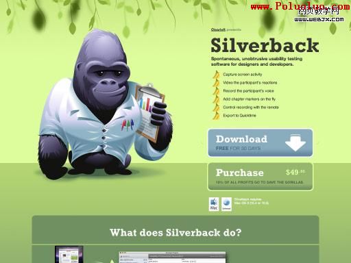 Silverback