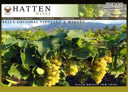 Hatten Wines