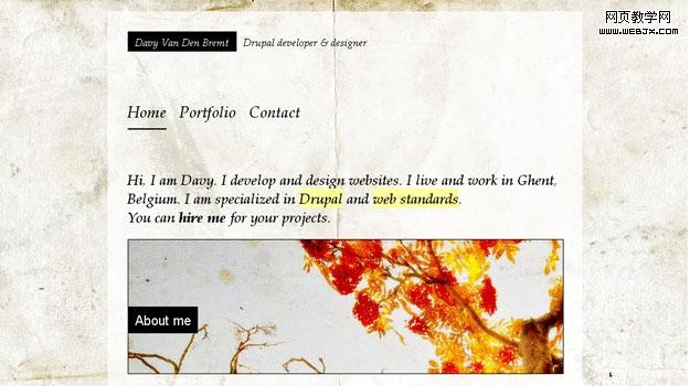 Davy Van Den Bremt - Drupal developer & designer