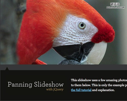 Animate Panning Slideshow with jQuery