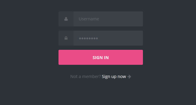 login-form-codepen