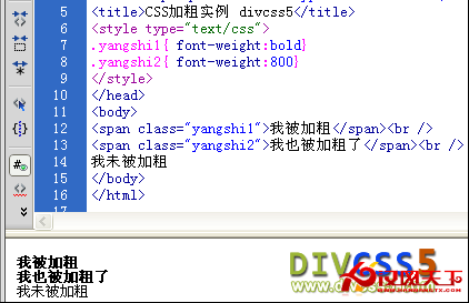 CSS 加粗實例效果圖