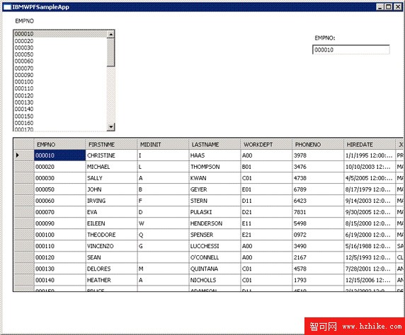 使用 IBM Database Add-ins for Visual Studio 生成數據綁定 XAML 應用程序