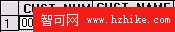 使用 WebSphere DataStage XML 和 Web Services 包轉換和集成數據