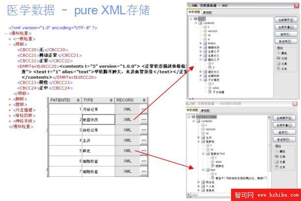 pureXML的技術應用及展望