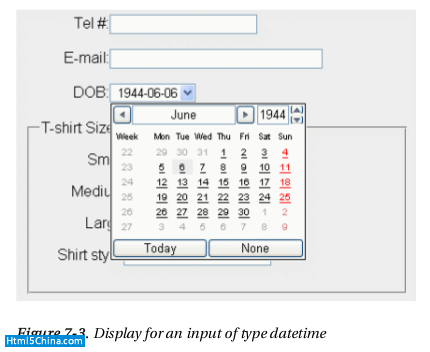 datetime元素顯示效果