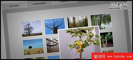 Cross Browser Multi-Page Photograph Gallery