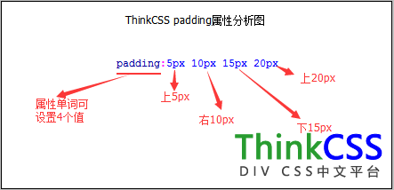 css padding值分析圖