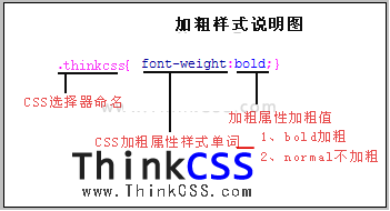 div css font-weight加粗樣式分解