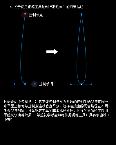 Fireworks教程：簡單制作羽毛扇