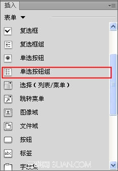 Dreamweaver插入單選按鈕和單選按鈕組