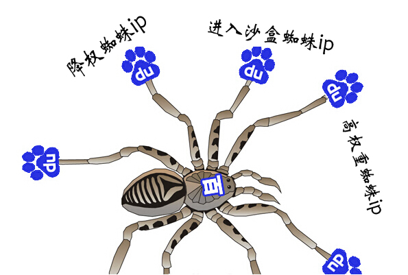 百度蜘蛛IP分別代表什麼？它們有什麼用？-阿澤