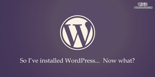 Wordpress 網站優化 網站安全性