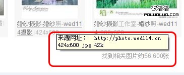圖片收錄數量