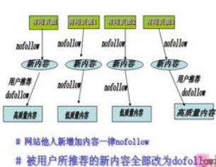 了解nofollow標簽才能做好網站seo優化 