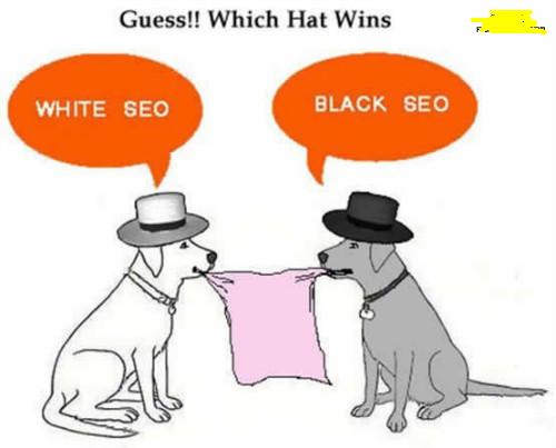 白帽seo還是黑帽seo需要SEOER們綜合選擇 