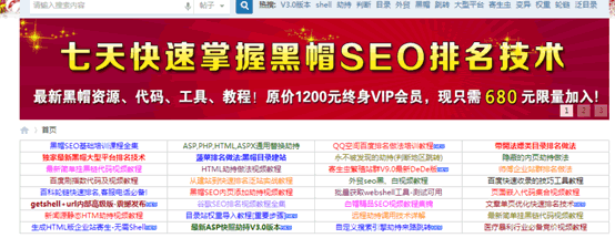 SEO技術 QQ空間排名技術 百度霸屏技術 黑帽SEO技術